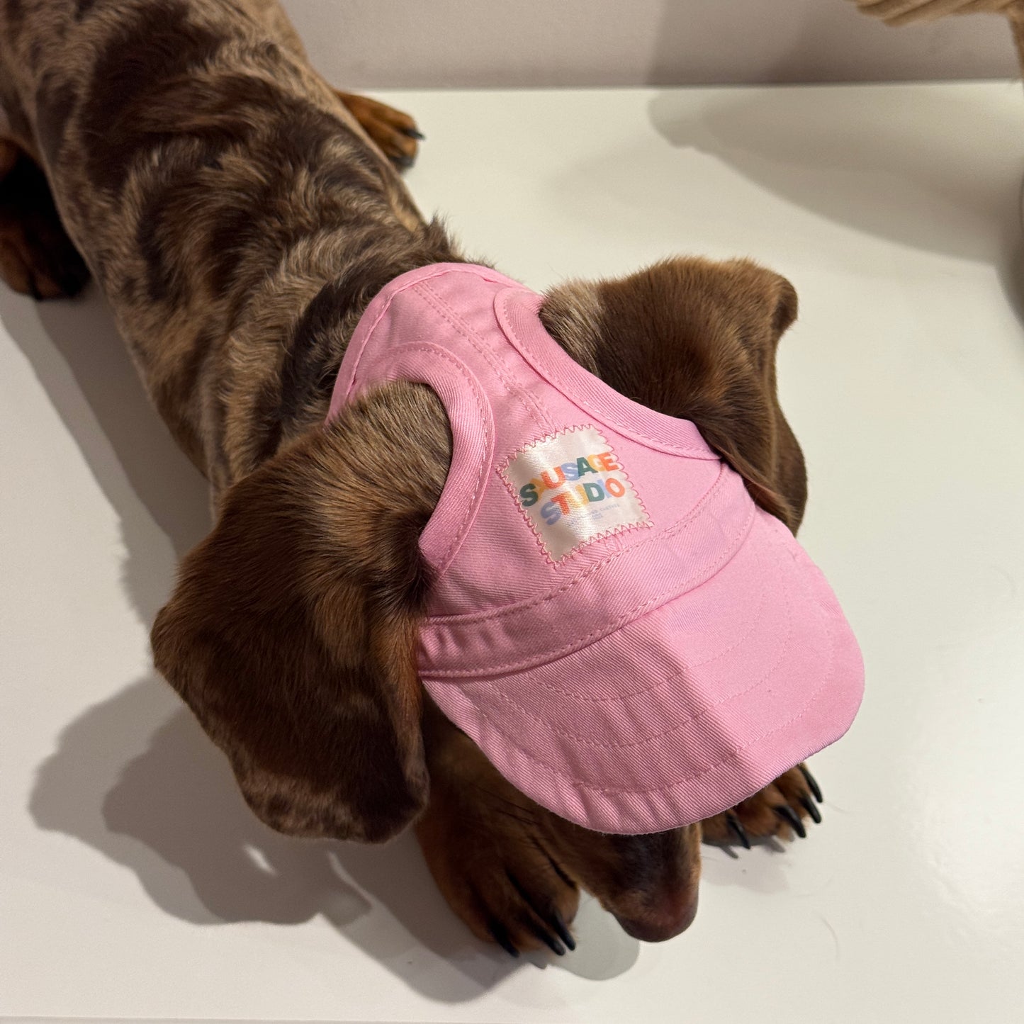 Dachs- Cap PINK