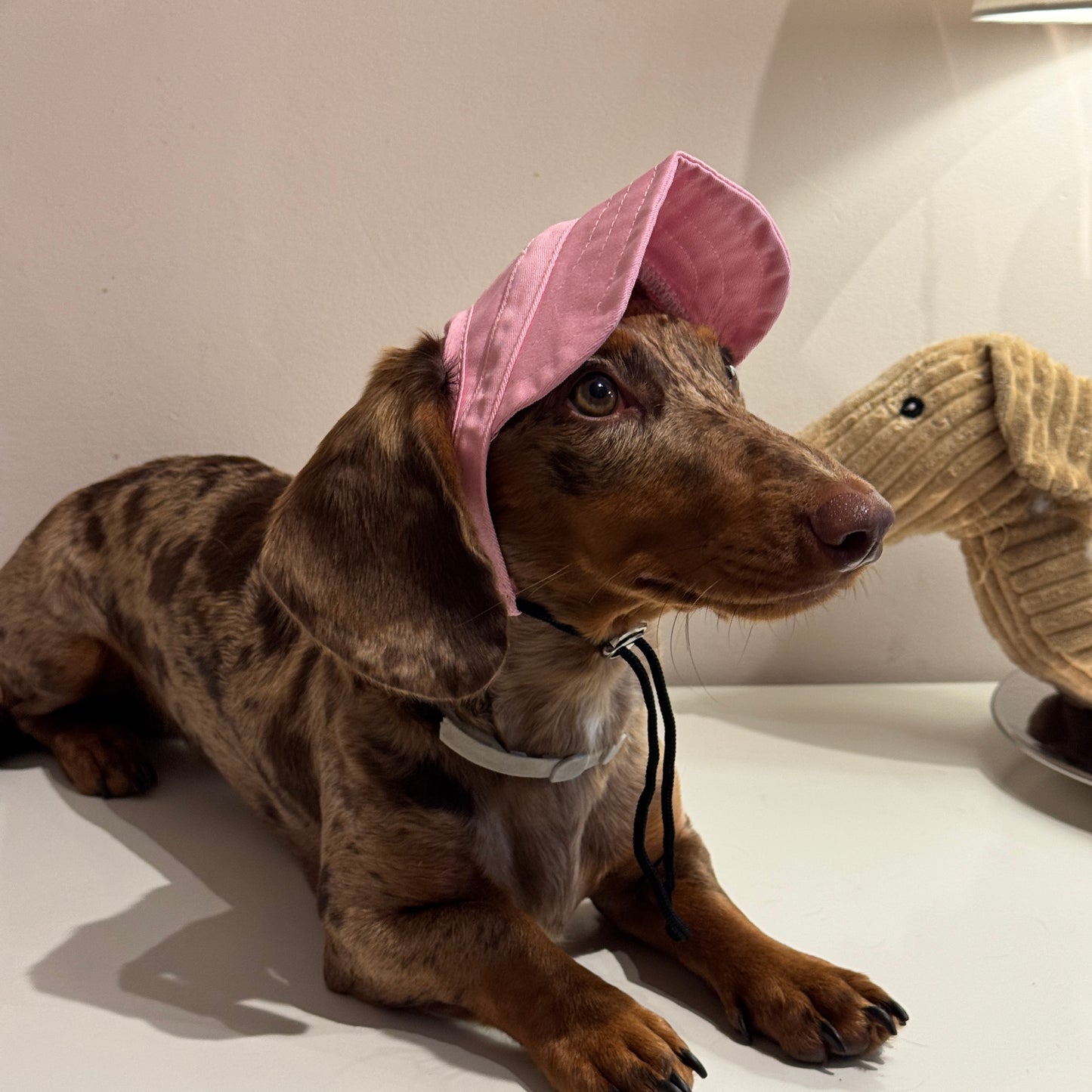 Dachs- Cap PINK