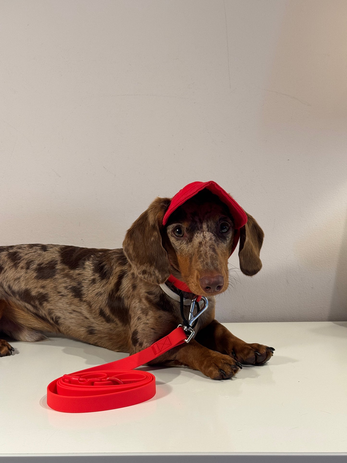 Guinzaglio LOW-RIDER RED