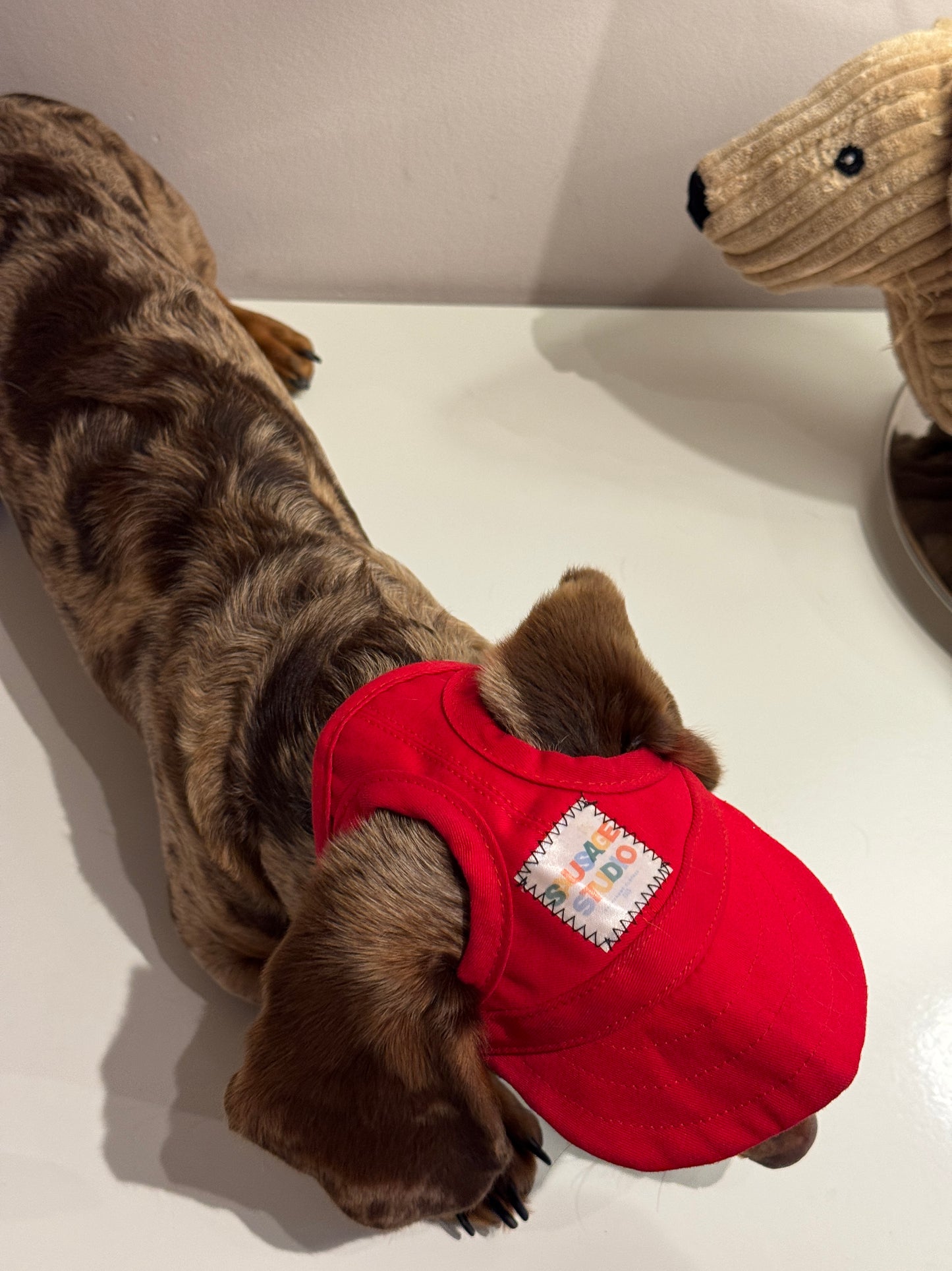 Dachs- Cap RED