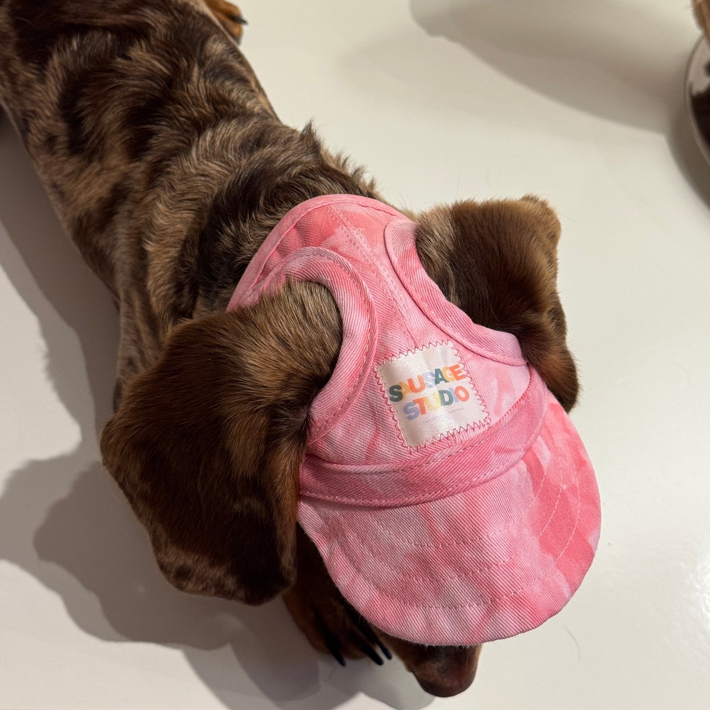Dachs- Cap PINK