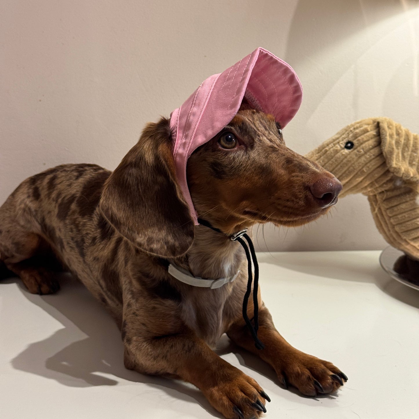 Dachs- Cap PINK