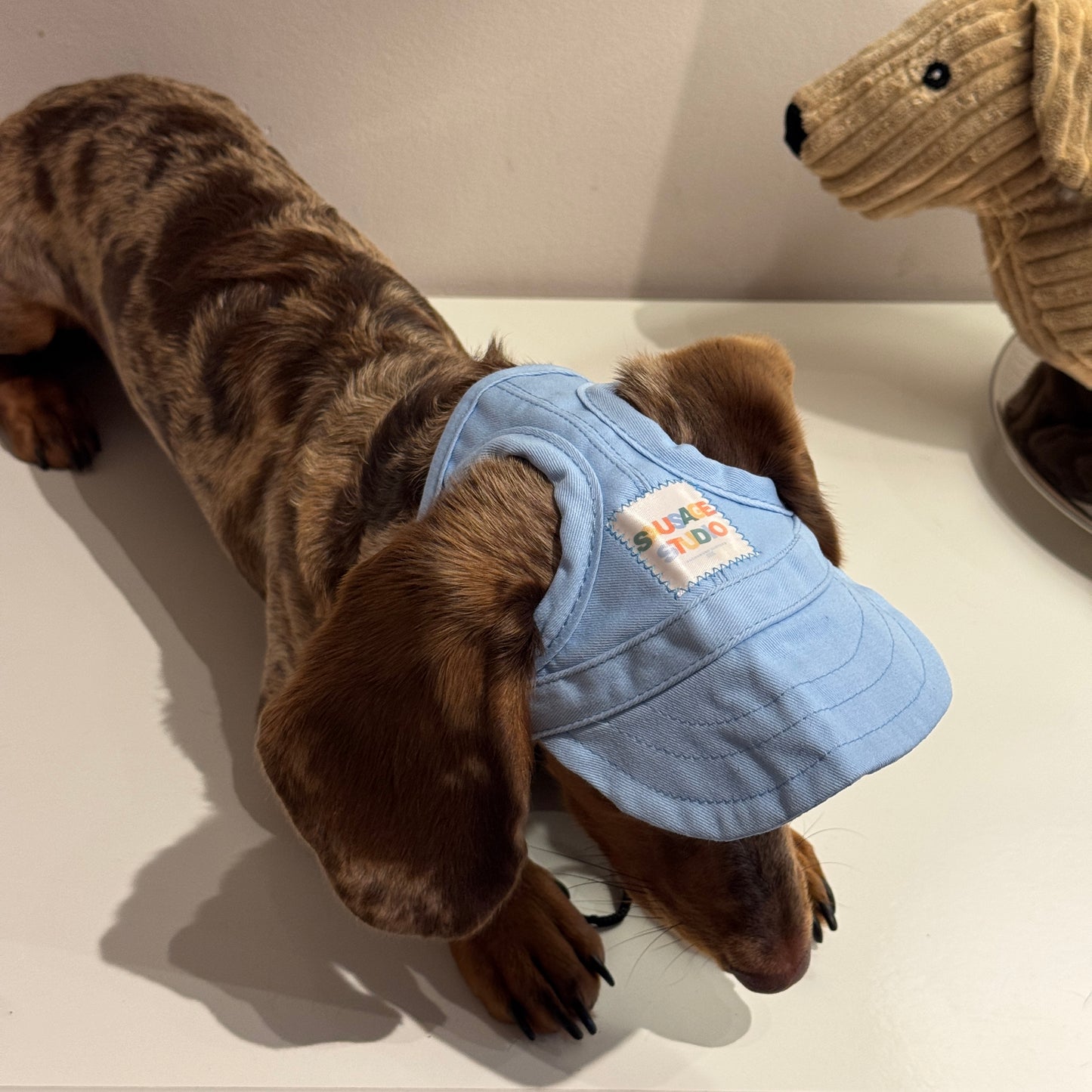 Dachs- Cap SKY BLUE